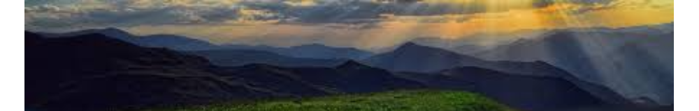 Taste-Tacular of Middle Georgia