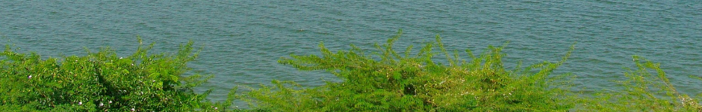 Family-Office-artige Immobilienverwaltung mit Ausbau zur Immobilienvermittlung