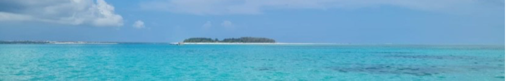 RoKi travel
