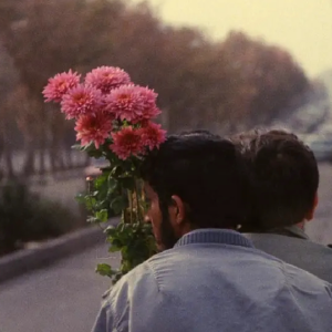 Co Founder Wanted for Cultural Platform