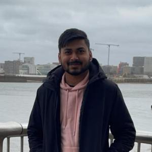 Koushik H V