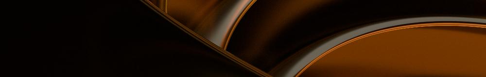 Rimvydas Steponavicius